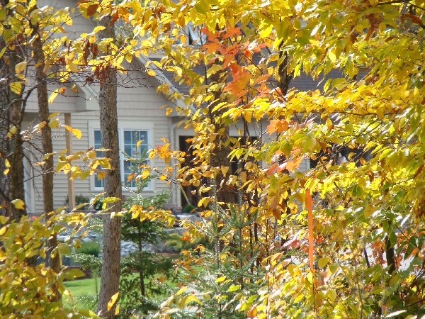 fall cottage view